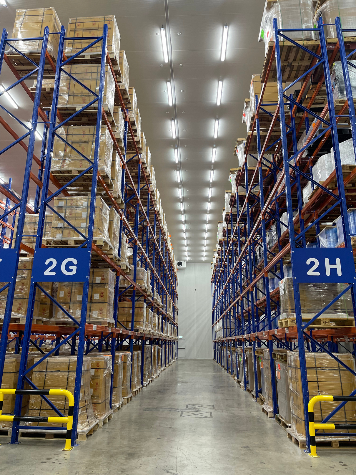 SJ Inter Logistics cold storage warehouse interior